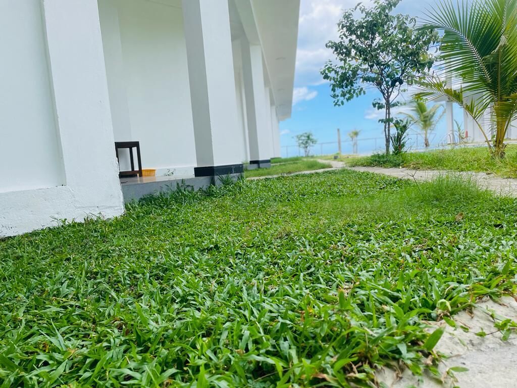 Guitar Bay Arugambay