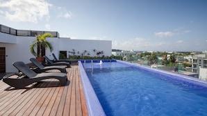A rooftop swimming pool with lounge chairs and a potted plant. - Icono 107 (Playa del Carmen)