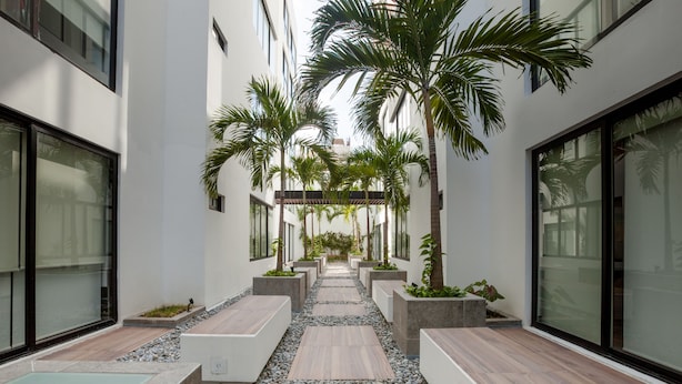 A modern building with a central pathway flanked by planters and palm trees, leading to a glass entrance. - Icono 405 (Playa del Carmen)