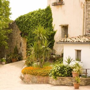Exterior - Agriturismo Parco Vecchio (Marineo)