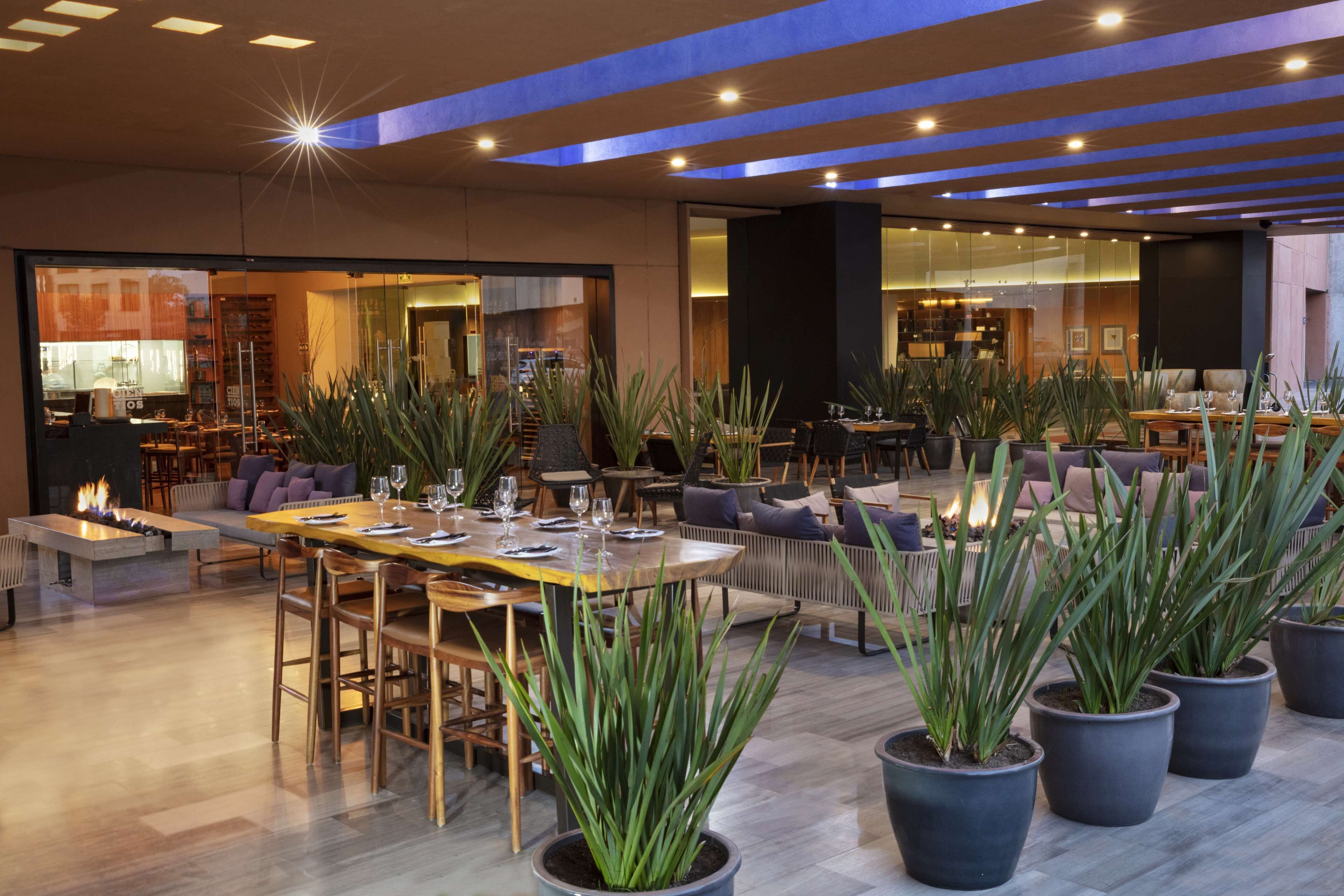 Un restaurante moderno con una mesa común larga, varias zonas de estar y plantas en macetas.