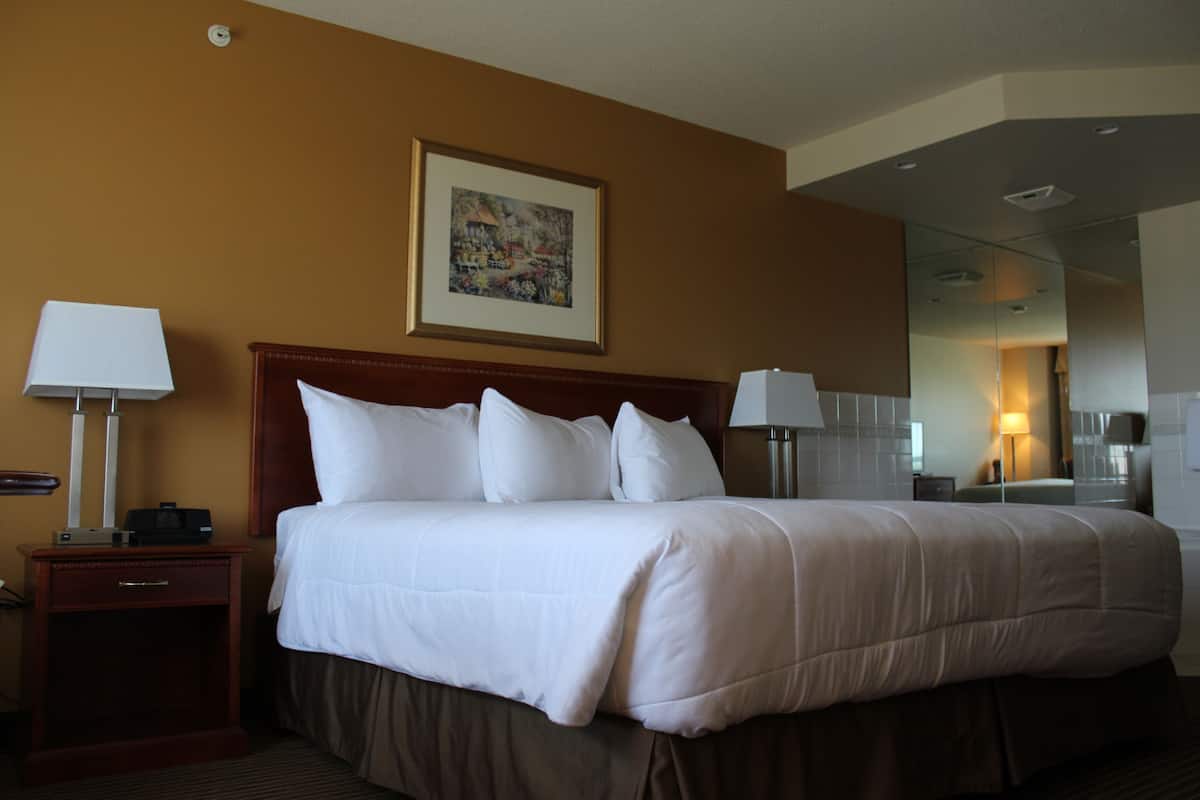 1 chambre, literie de qualité supérieure, couette en duvet d'oie
