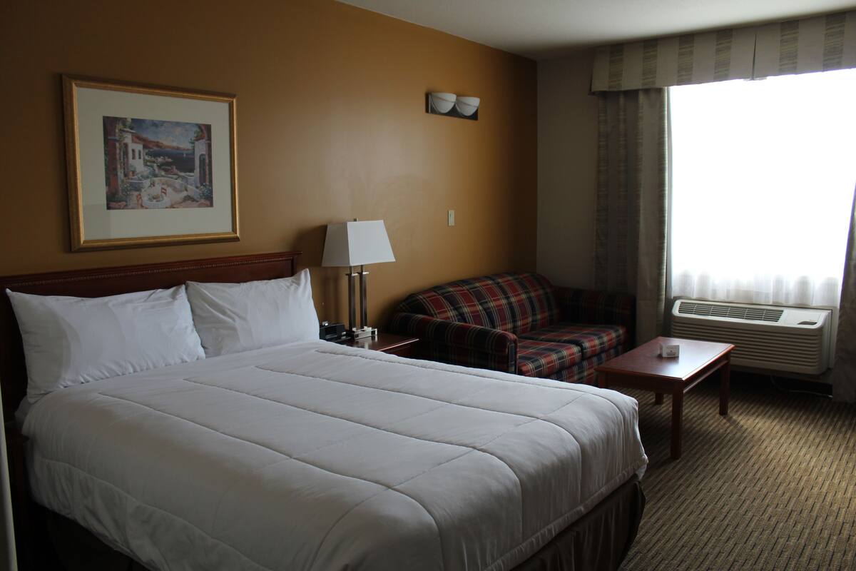 Habitación de hotel con una cama grande, un sofá a cuadros, una mesita, una lámpara, aire acondicionado y un cuadro en la pared.