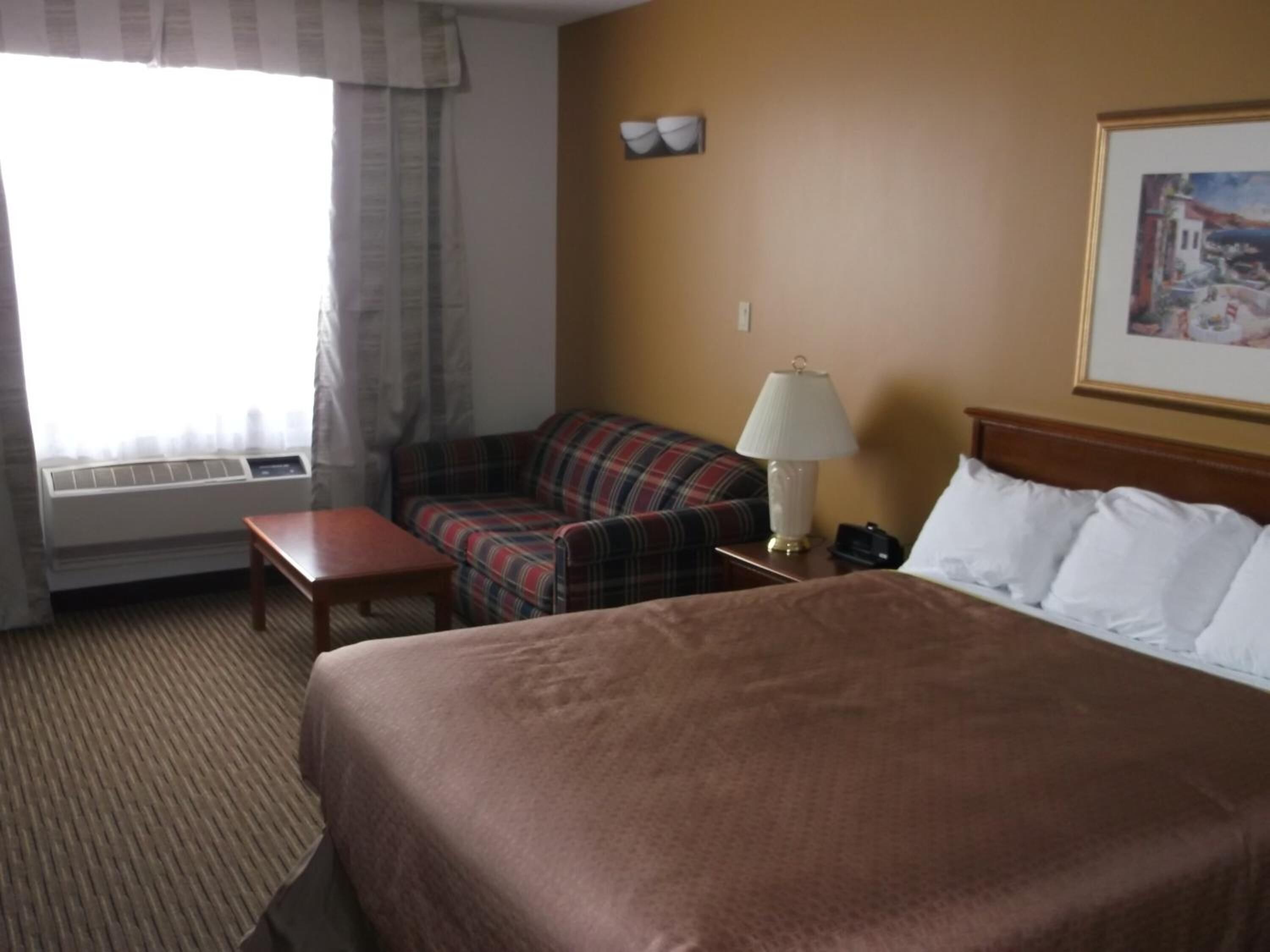 Une chambre d’hôtel avec un lit, un canapé, une petite table, une lampe et un tableau au mur.