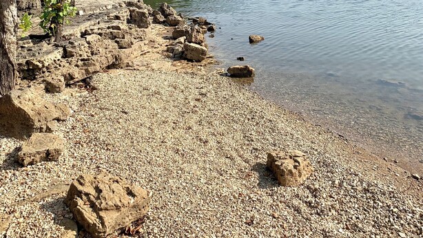 A pebbled beach with clear water, a tree, and a forested hillside in the background. - Beautiful Branson Getaway! (Branson)