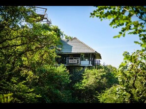 Escape to a secluded cabin surrounded by lush forest, with a balcony offering a view of the surrounding foliage.