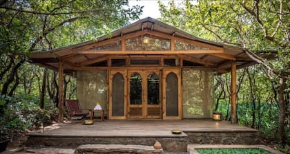 Modern & Luxurious Comfort Tree House Stay