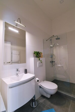 Dusche, Haartrockner, Handtücher, Seife