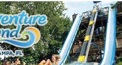 DFGmoments#2/Northdale/Citrus Park Mall