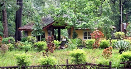 Well atmosphere&nature scenery Treehouse,Karnataka