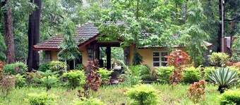 井戸の雰囲気と自然の風景Treehouse、Karnataka