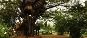 Casa sull'albero Soggiorno vicino alla spiaggia Resort / Puducherry