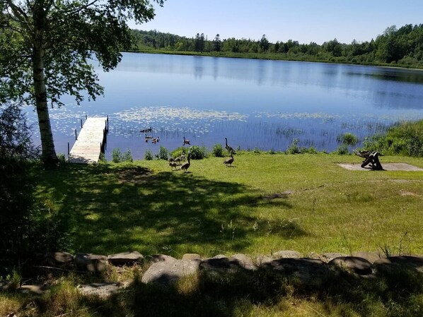 A serene lakeside setting with a wooden dock extending into the water, surrounded by lush greenery and a clear sky. - Amazing sunsets/lake views - Near Pictured Rocks (Christmas)