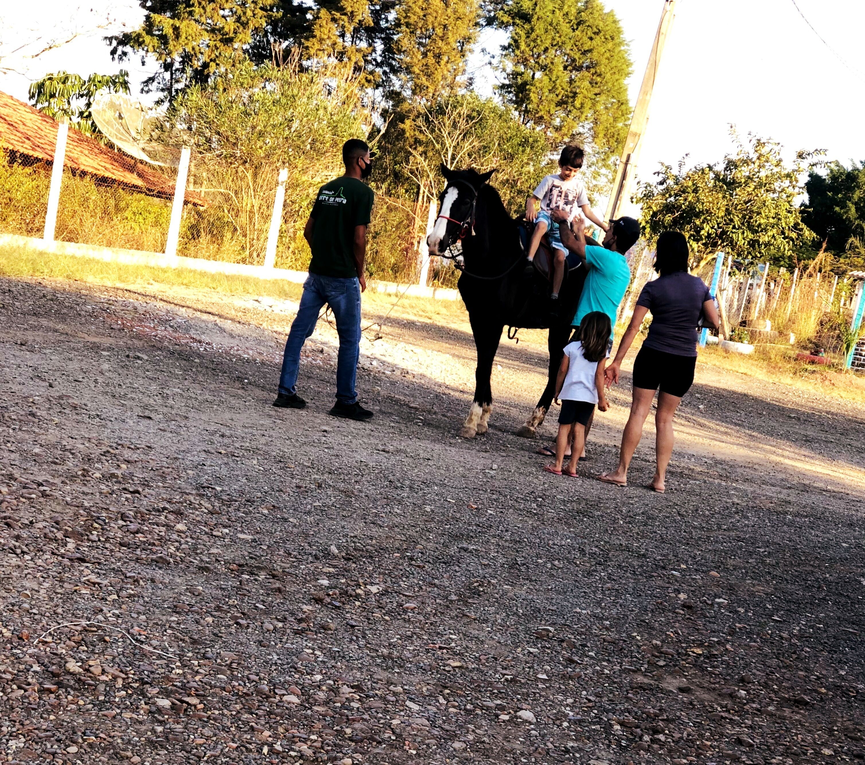 Een groep mensen rondom een paard in een omheind buitengebied met grind.