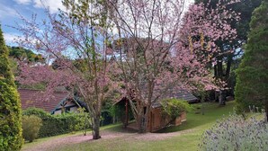Un barrio residencial con casas, césped cuidado y árboles en flor.