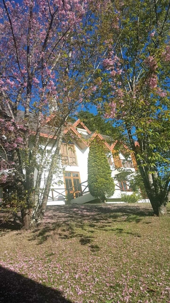 Ulkopuoli