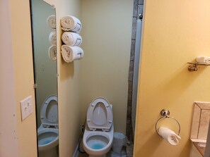 Shower, towels, soap, toilet paper