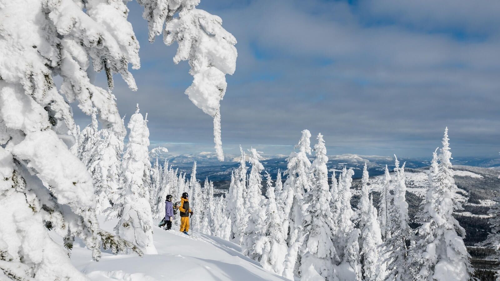 Un paysage de montagne enneigé, avec des arbres couverts de neige et un ciel dégagé.