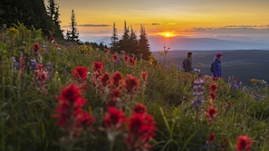 Beach - Snow Creek Village #20 By Bear Country (Sun Peaks)