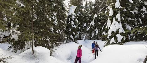 A snowy forest scene with people walking.