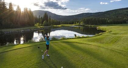 Snow Creek Village #48 By Bear Country