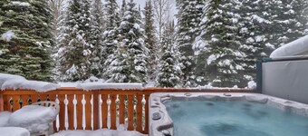 Timberline Village #14 By Bear Country