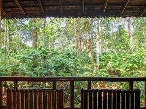 Property grounds - Amaizing View Stay near Soochipara Falls (Kalpetta)