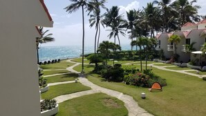 A resort with a well-maintained lawn, palm trees, and a view of the ocean. - Beach front condo! Best spot to kite!! Beach lovers paradise! Nanny Estates.! (Cabarete)