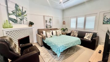 Smart TV, video game console, DVD player, books