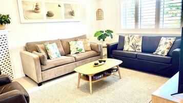 Smart TV, video-game console, DVD player, books