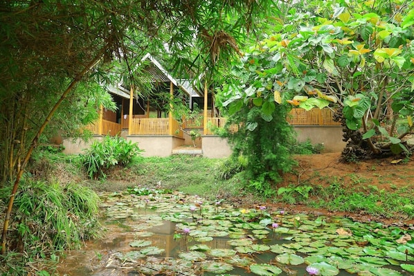 Parco della struttura