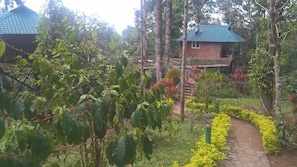 Jardines del alojamiento