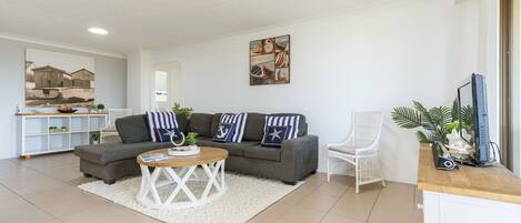 電視、DVD 播放機