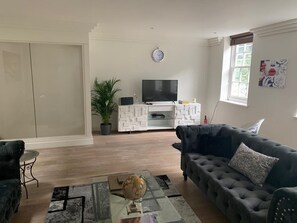 تلفزيون، مدفأة، مكتبة موسيقى