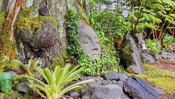 A natural setting with a moss-covered tree, a large rock with a carved face, and various plants. - 1 Mile Away from Volcano National Park (Volcano)