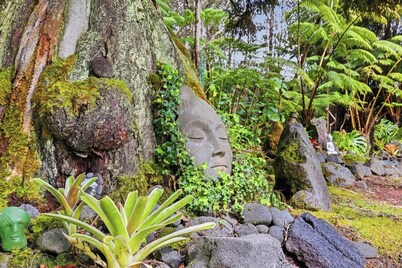 1 Mile Away from Volcano National Park