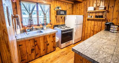 Colorado Bear Creek Cabin 8