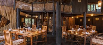 Luxurious and tasteful Treehouse stay