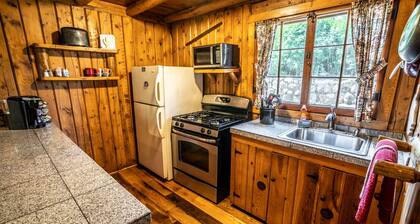 Colorado Bear Creek Cabin 3