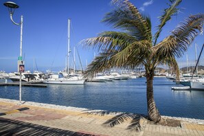 A marina with boats docked, a palm tree, and a street lamp.