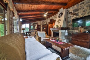 Televisión, chimenea y libros 