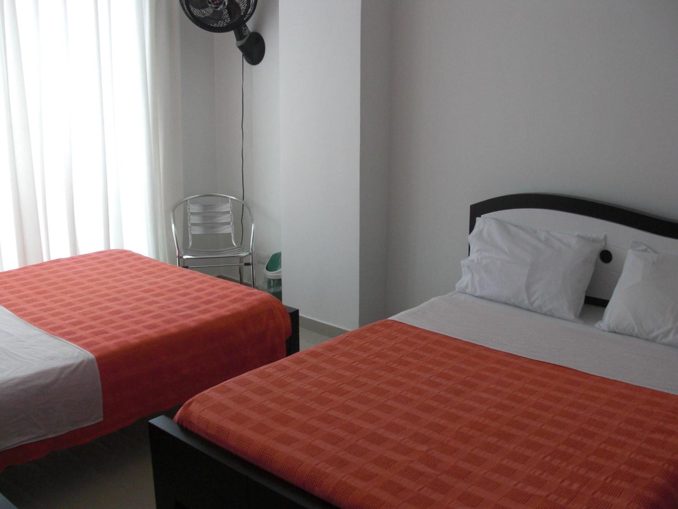 Photo - Hotel Aussie koala