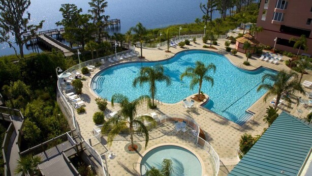 Une grande piscine incurvée, bordée de palmiers et de chaises longues, entourée d’une terrasse et offrant une vue sur l’eau.