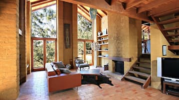 TV, fireplace, books