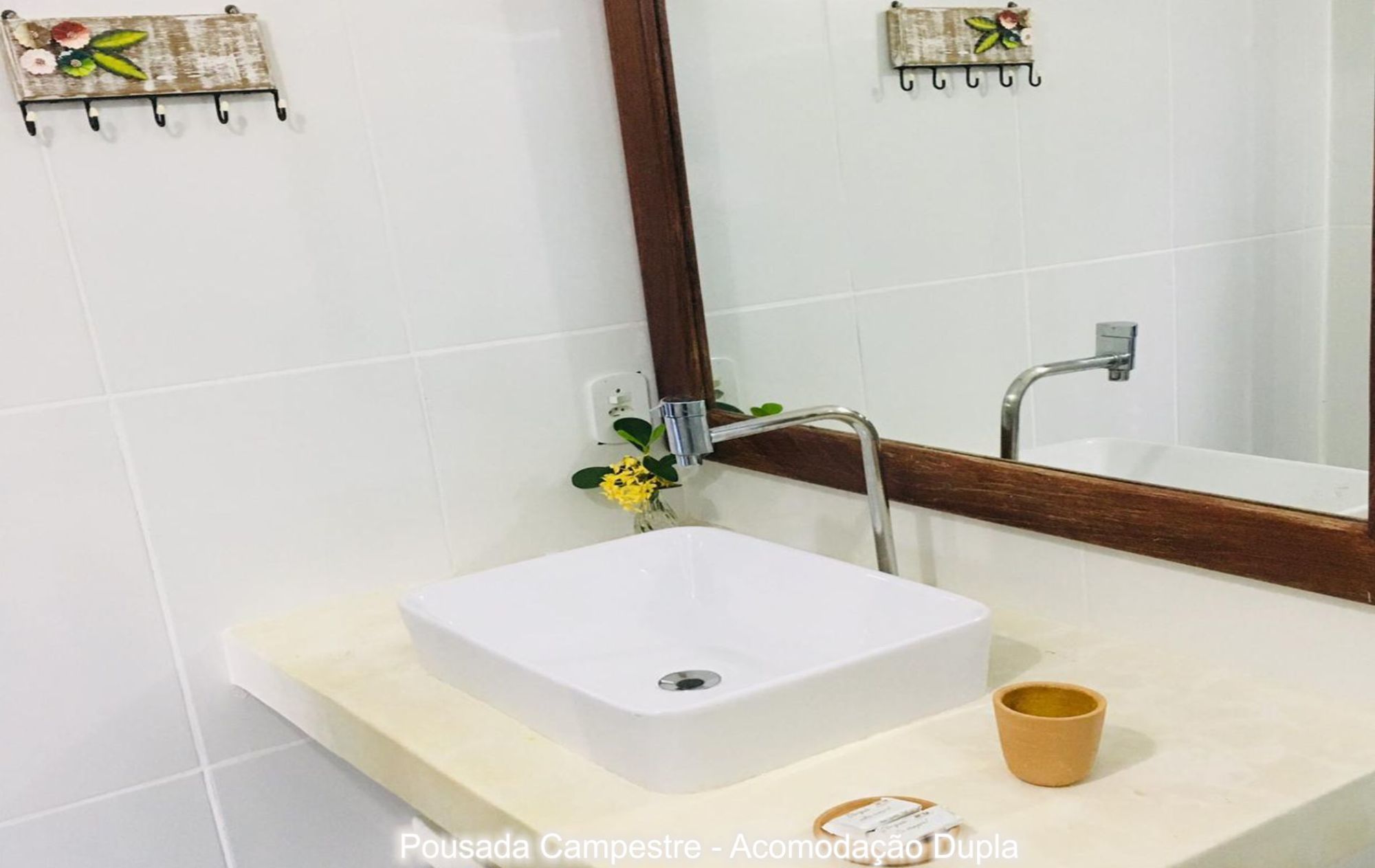 A bathroom with a white sink, a mirror, and a small plant.