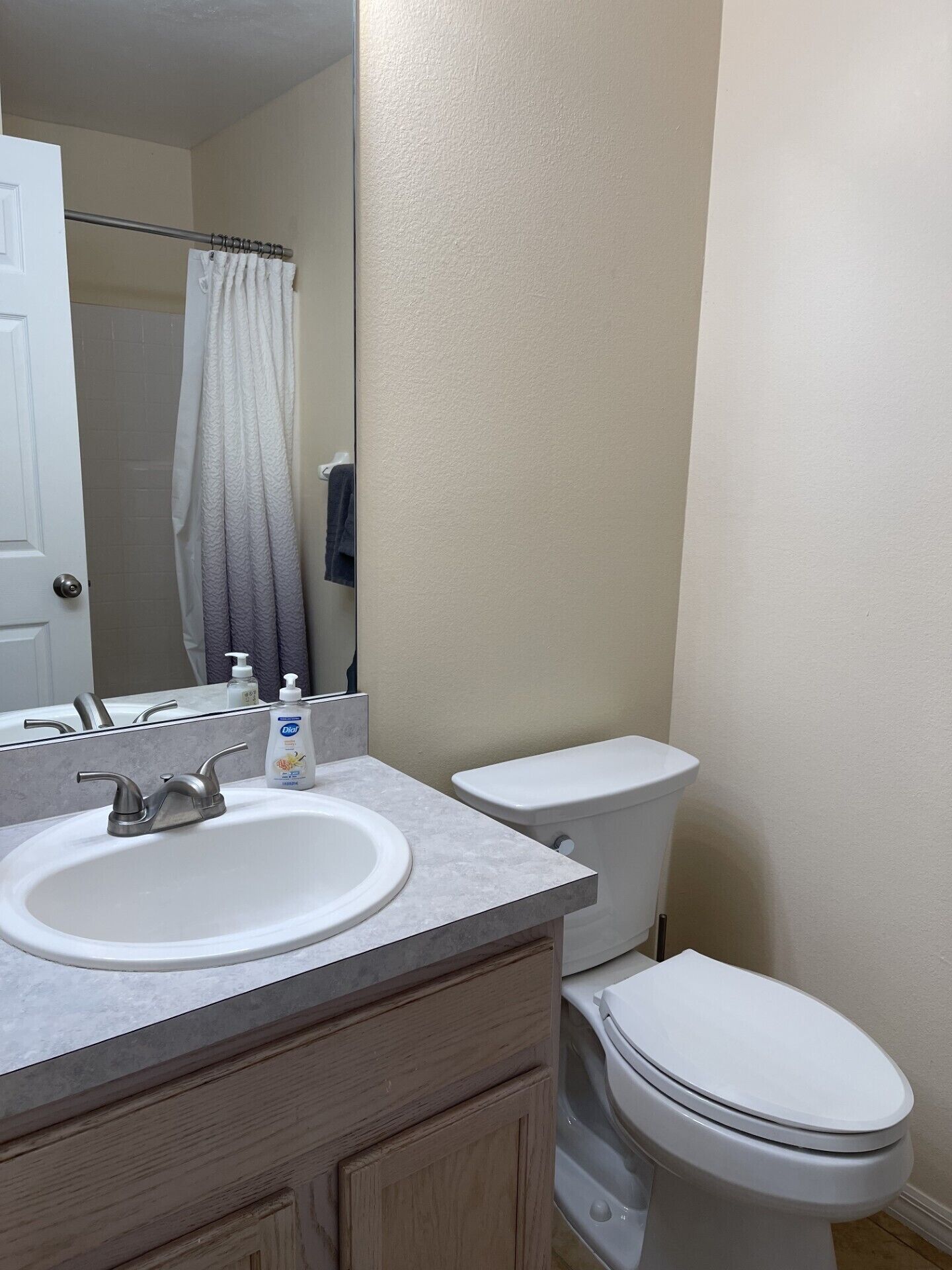 A bathroom with a white sink, a toilet, and a shower curtain.