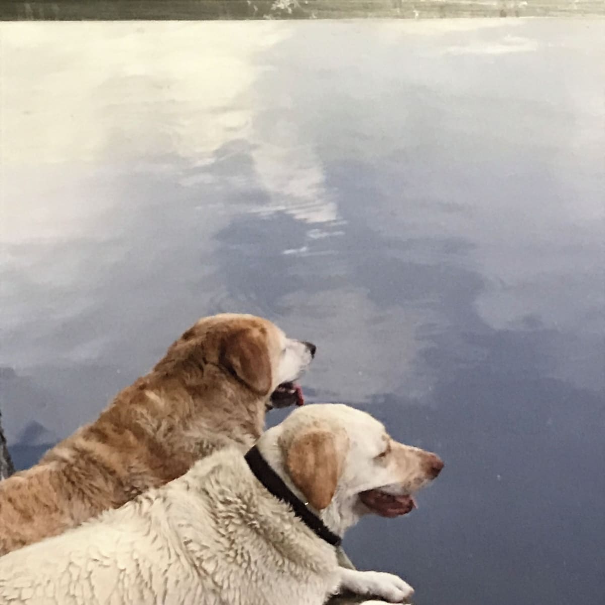 Värdens profilbild