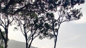 Persona al capdamunt d'una escala que condueix a una vista de muntanya, amb barana de fusta i escala metàl·lica a l'esquerra.