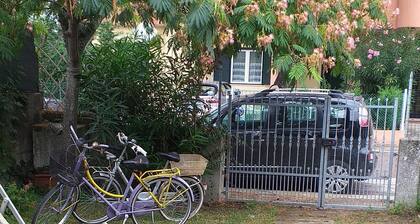 Reihenhaus mit Garten