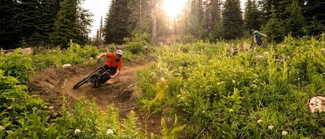En mountainbiker navigerer på en støvet sti omgivet af tæt skov og frodig vegetation.